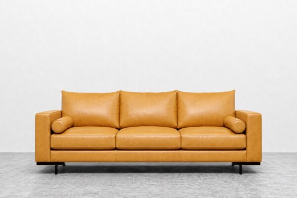 Cassidy Collection