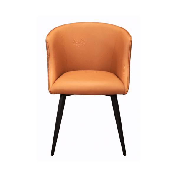 Elowyn Chair