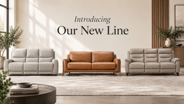 Three contemporary sofas displayed in a bright modern furniture showroom