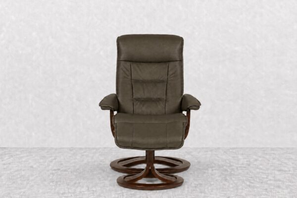 H2 Bravo Aurora Recliner