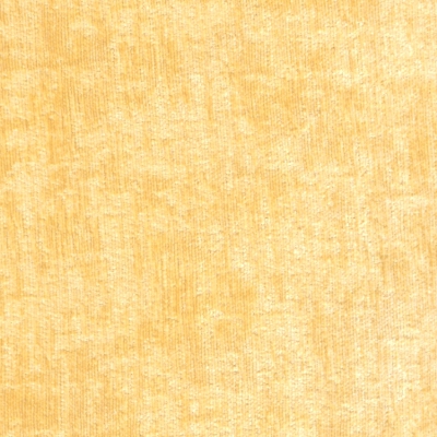 Dream Citrus fabric swatch